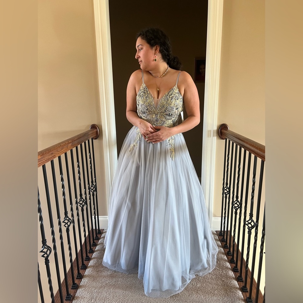 David’s Bridal Embroidered Bodice with Mesh Skirt Prom Dress